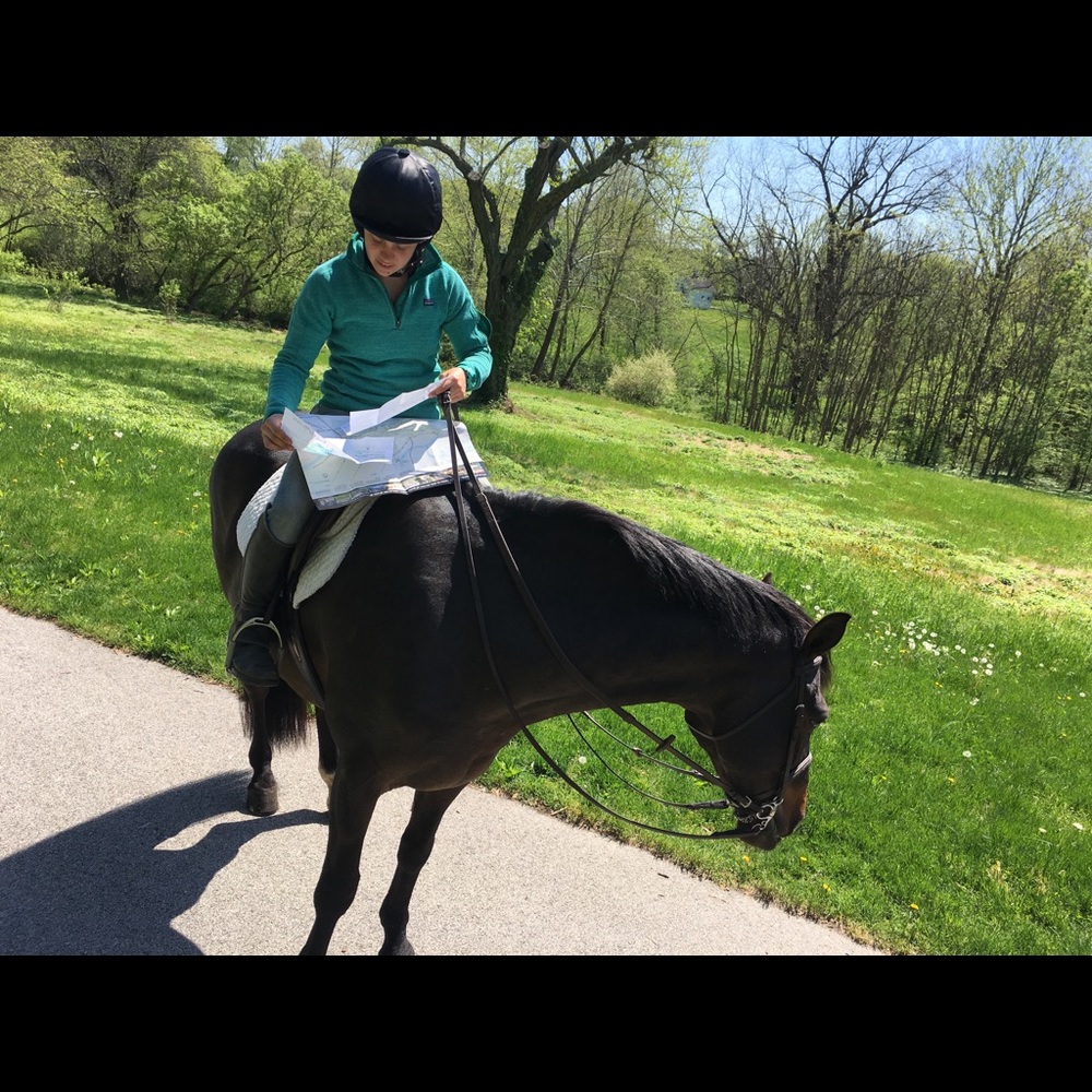 Meet your Posher, Katie